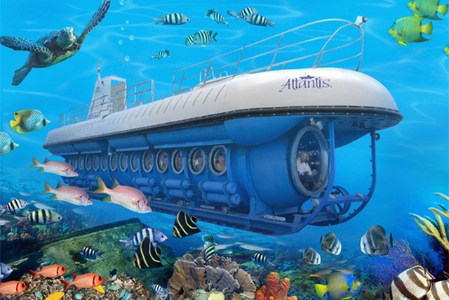 Trình Chính phủ nghị định quản lý tàu lặn và tuyến vận tải hãng tàu nước ngoài trong tháng 8/2024- Ảnh 1.