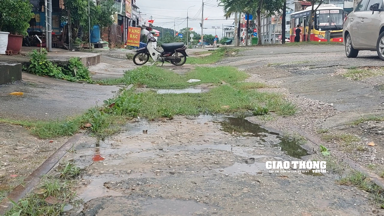 Sau giải tỏa, hành lang đường sắt Kép – Hạ Long tiếp tục bị xâm phạm- Ảnh 2.