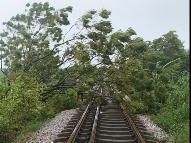 Đường sắt dừng tiếp nhiều đoàn tàu do bão số 3- Ảnh 1.