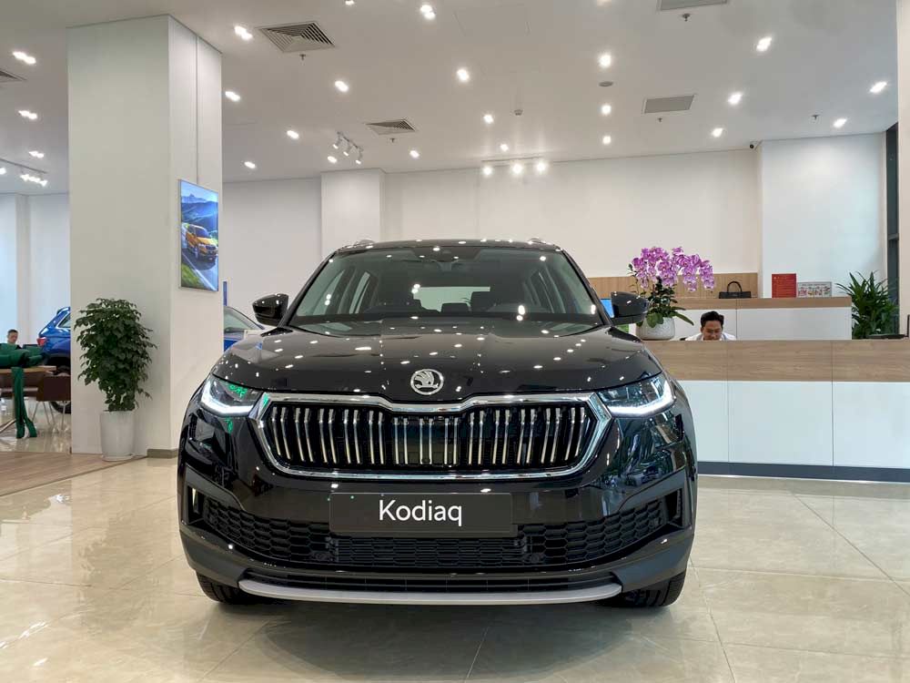 Bộ đôi Skoda xả kho giảm 200 triệu đồng: Người dùng chỉ lý do xe châu Âu khó tiếp cận - Ảnh 4.