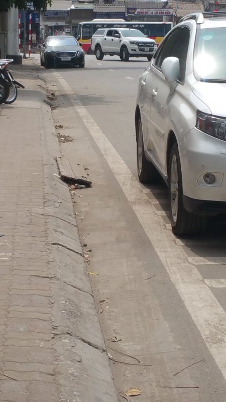 Mức phạt đỗ xe sai quy định mới nhất năm 2025: Bánh xe cách vỉa hè 25 cm sẽ bị phạt?- Ảnh 1. Mức phạt đỗ xe sai quy định mới nhất năm 2025: Bánh xe cách vỉa hè 25 cm sẽ bị phạt?- Ảnh 1.