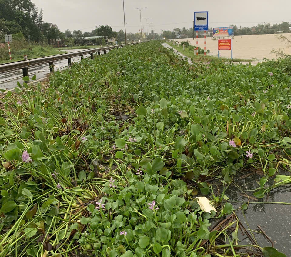 Đà Nẵng, Quảng Ngãi: Sạt lở, ngập lụt nhiều tuyến quốc lộ khiến giao thông tê liệt - Ảnh 1.