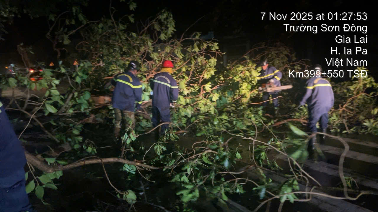 Video: Trắng đêm khắc phục hậu quả bão số 13, đảm bảo giao thông- Ảnh 1.