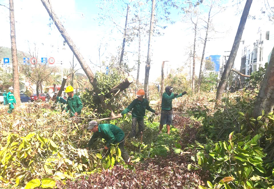 Xuyên ngày đêm giải toả cây xanh gãy đổ, đảm bảo giao thông ở tâm bão số 13- Ảnh 3.