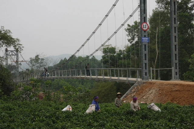 Rà soát toàn bộ hệ thống cầu treo trên cả nước - Ảnh 1.