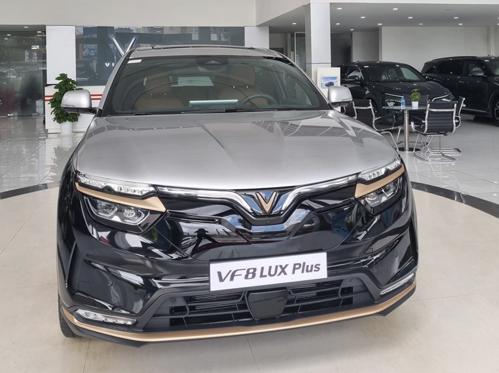 Người Việt sắp được mua xe VinFast VF8 theo năm, giá chỉ 36 triệu đồng- Ảnh 1.