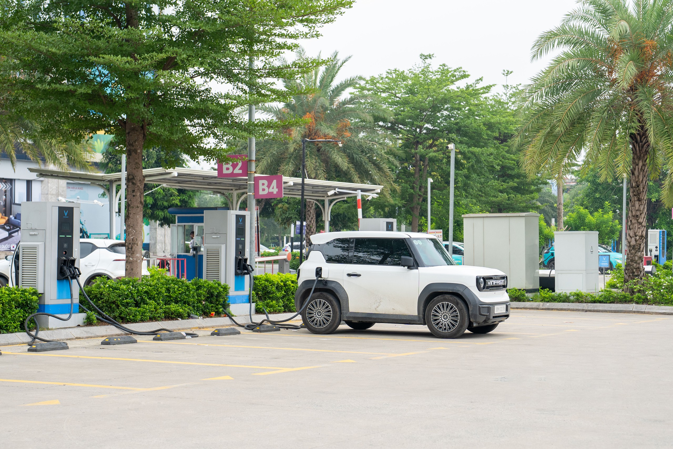 Bài học cho Việt Nam - Ảnh 5.