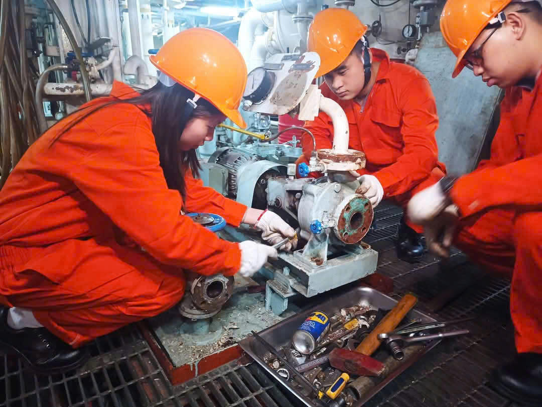 PHỤ NỮ TRÊN HẢI TRÌNH XANH: BỨT PHÁ TỪ NHỮNG VAI TRÒ MỚI TRONG NGÀNH HÀNG HẢI SỐ VÀ XANH - Ảnh 3.