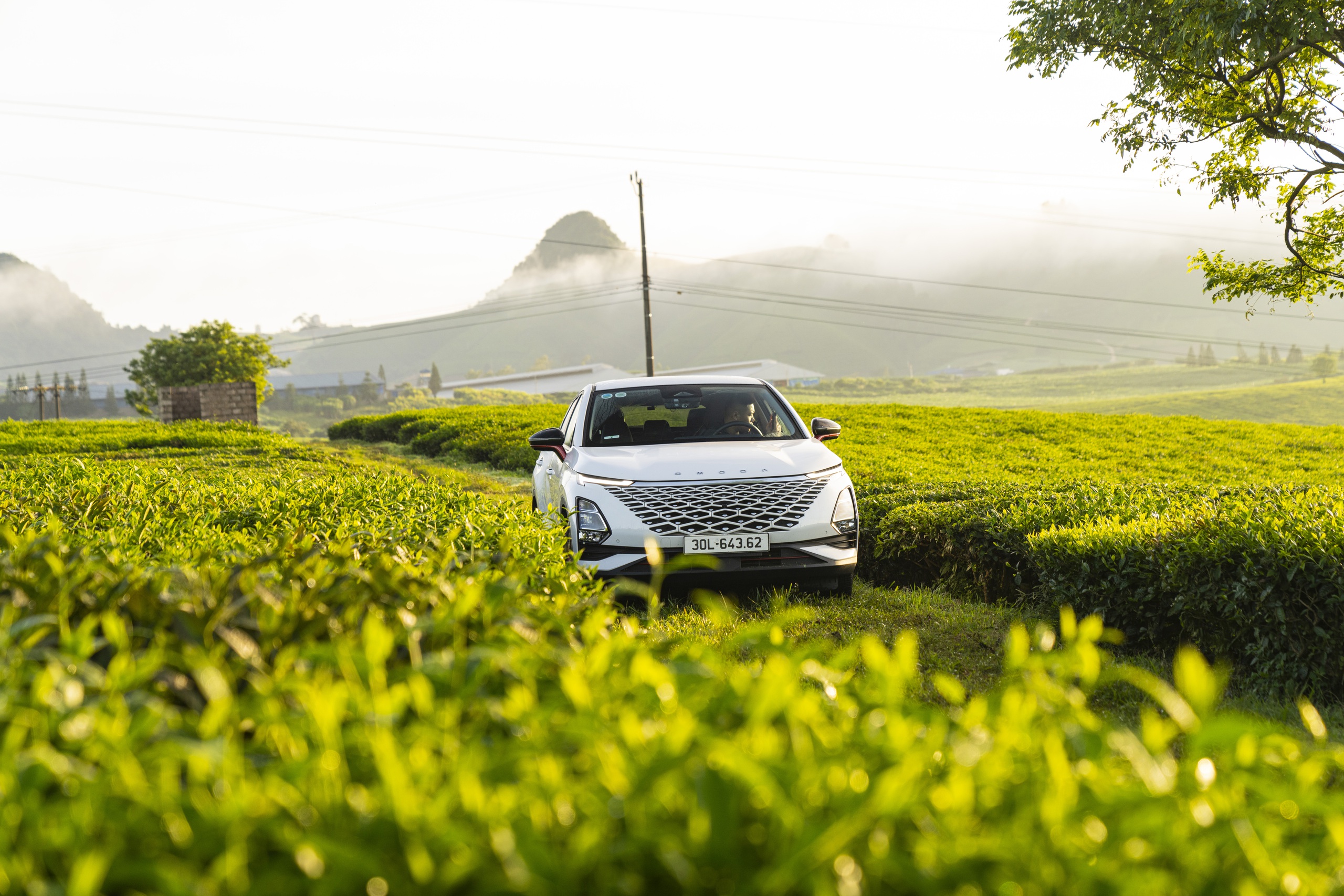 Ưu đãi rực rỡ tháng 8 – Sở hữu Omoda C5 & Jaecoo J7 dễ dàng hơn bao giờ hết - Ảnh 1.