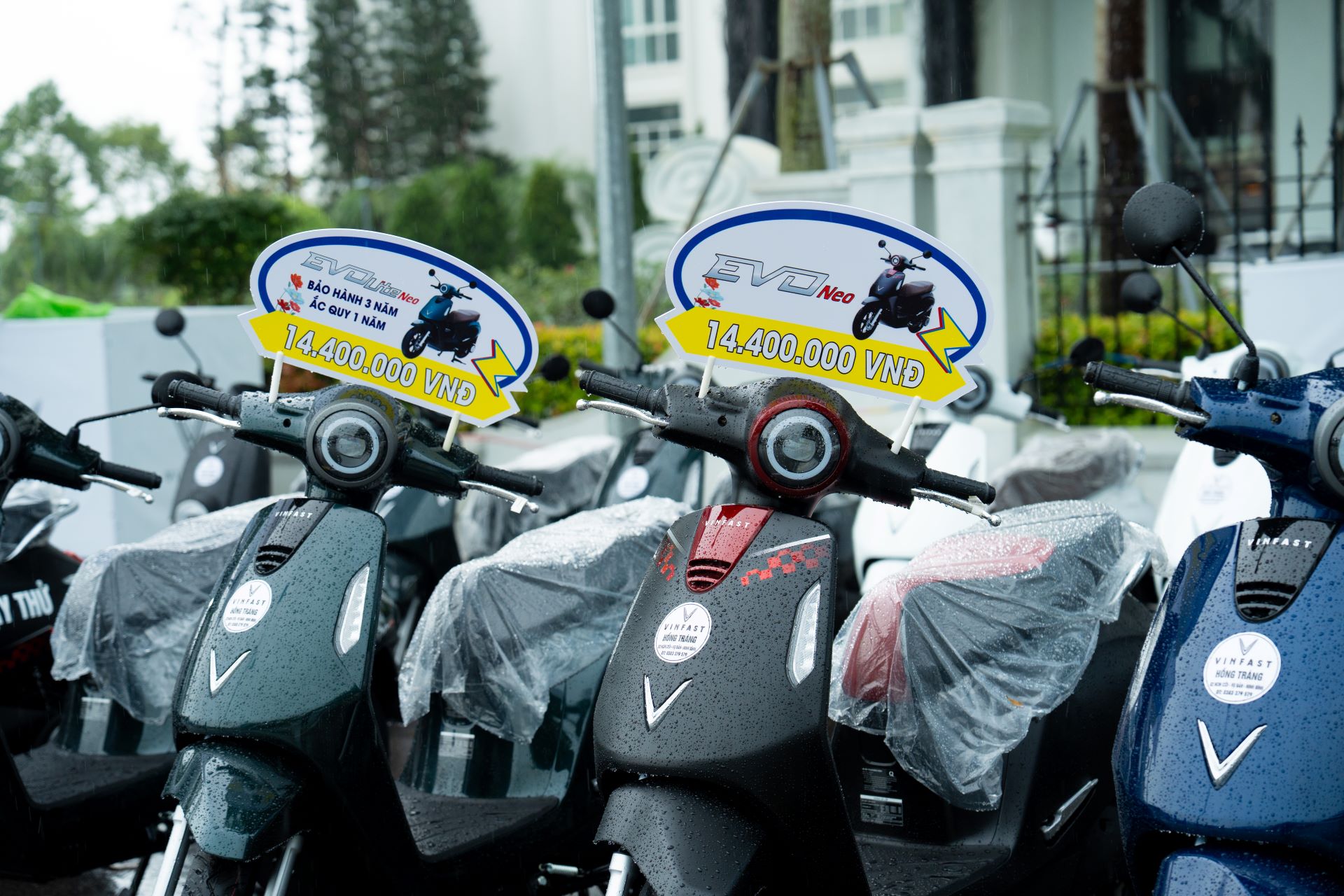 Không xăng, không nhớt, không phiền: VinFast Evo Lite Neo thành “chân ái” mùa tựu trường của Gen Z - Ảnh 2.