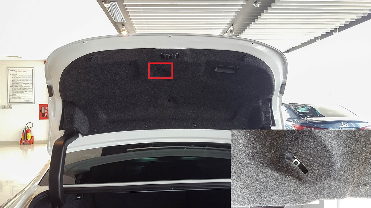 Cách thoát hiểm khi xe rơi xuống vực