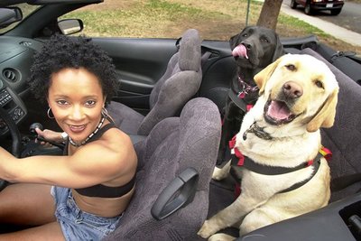 5. Hành khách phía sau không ngồi cố định 5. Hành khách phía sau không ngồi cố định.