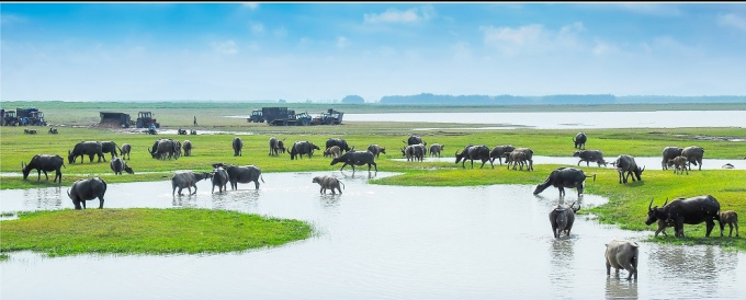 6 Lòng Hồ mùa nước cạn- Tác giả Trịnh Thế Hùng