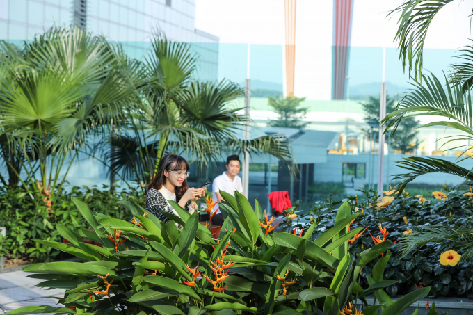 Dấu ấn văn hóa bản địa trong kiến trúc sân bay Vân