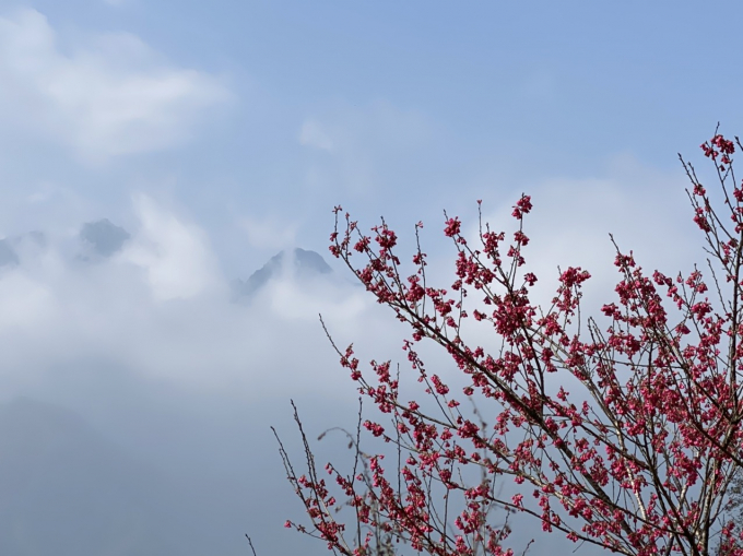 510D8485-BADF-40AE-8547-57188FBB8EDC.