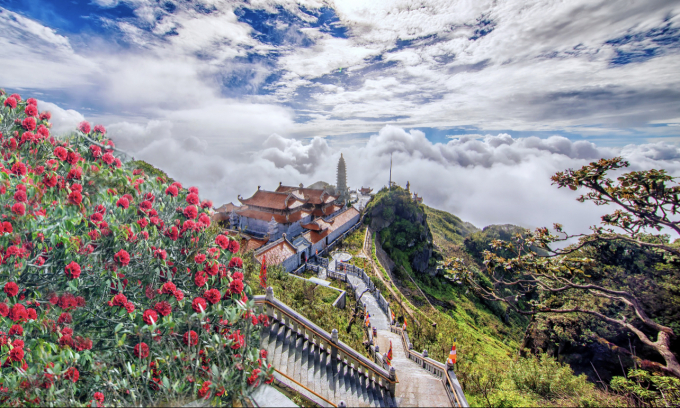 480D1461-9822-4379-B119-18168CF9214F.