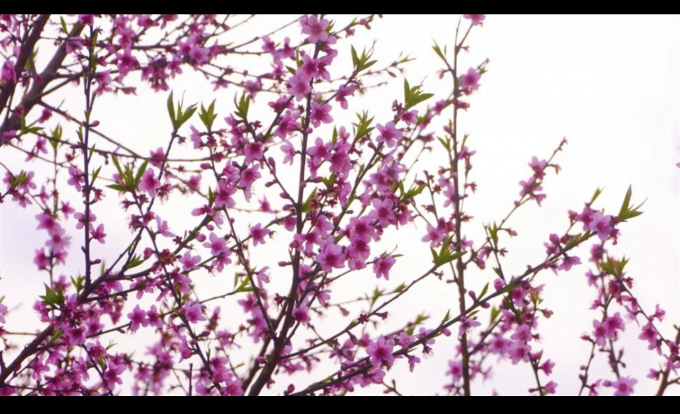 DC8F1DF9-231D-40AE-A7A4-3AFC16CAE516.