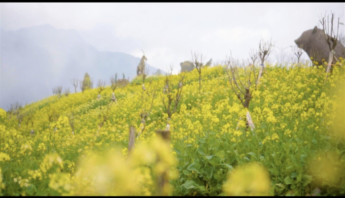 E5DA2905-0CA8-4EE5-9634-4E5A4074D890.