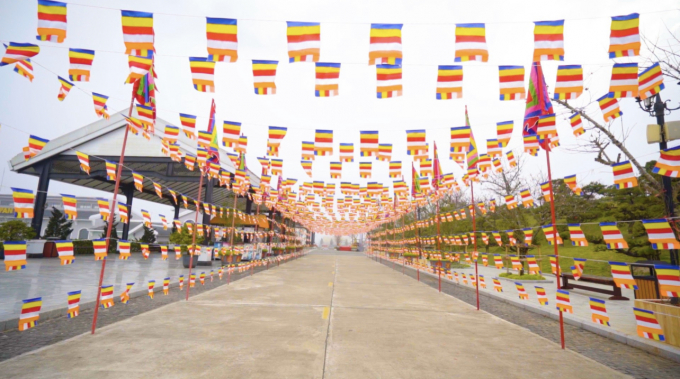 09D63685-96EF-45BE-B5B8-4508443D2FEB.