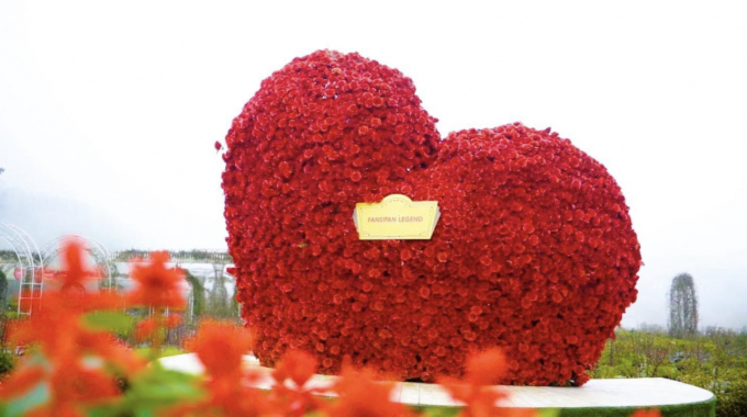 4D521D6F-C25E-4A5B-BFEF-D666F25550E6.