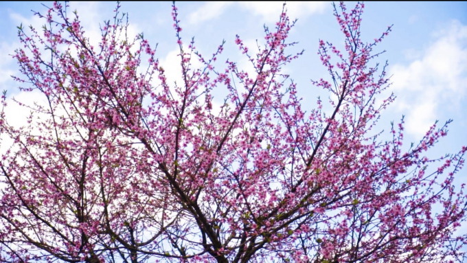 BF8811D0-A5AB-4069-BBEE-43DF6A5BBAF0.