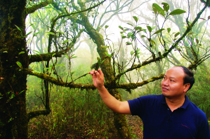 Che O Long Hoang manh Ngoc