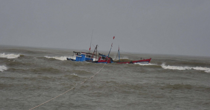 tim kim cuu nan hnag hai