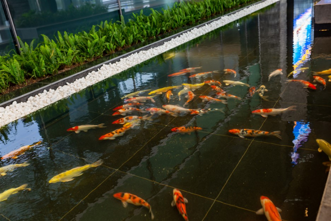 anh 1- Sân bay Vân Đồn