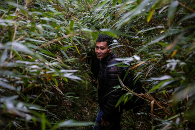 con đường kéo điện ngày xưa giờ rậm rạp cây cối