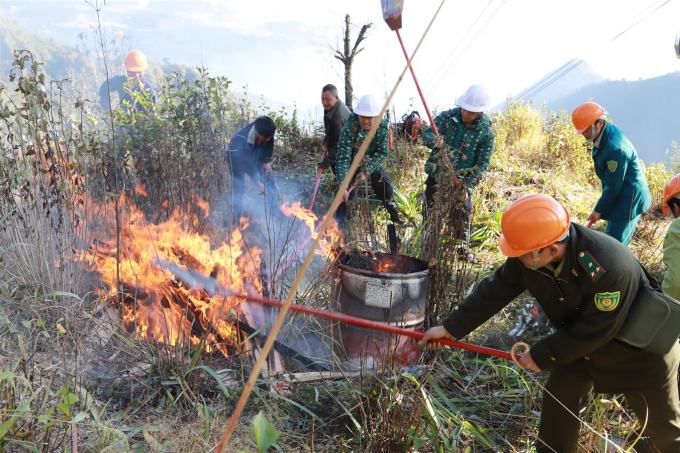 Diễn tập PCCC rừng Hoàng Liên (1)