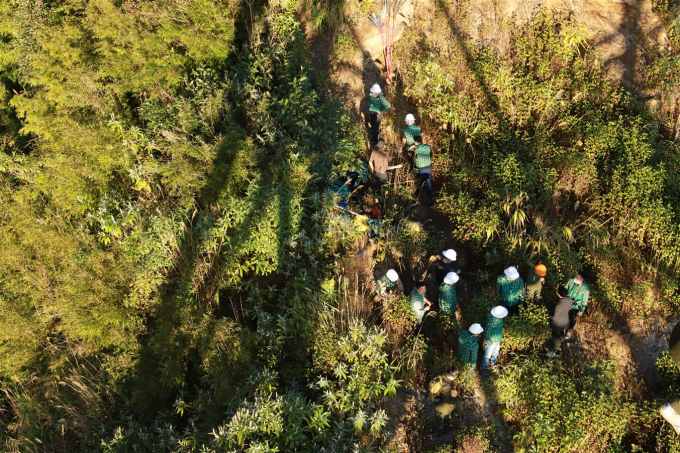 Diễn tập PCCC rừng Hoàng Liên (12)