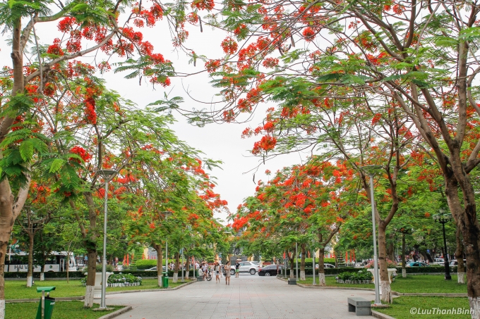 26908856870_13f8ca9088_o