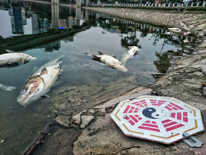 13406716_10154228114714591_1905909824864485456_n