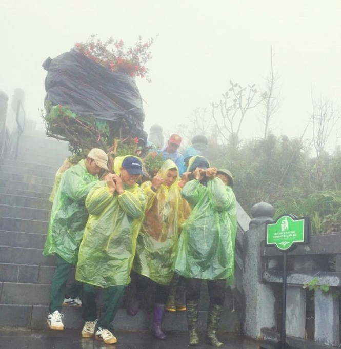 Nhân viên Sun World Fansipan Legend trong cay_2