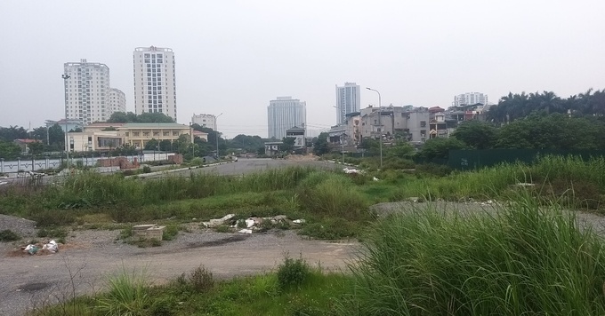 Cỏ dại mọc um tùm tại nhiều đoạn tuyến thuộc vi đầu tư xây dựng dự án  