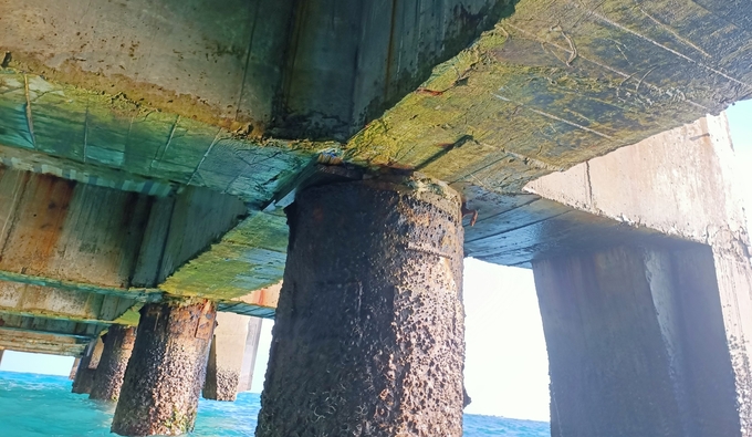 z3462153798942_1741363def49be2a0604d31ed7007908