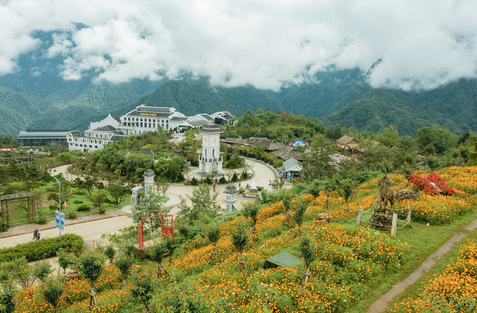 Hoa đồng loạt bung nở đưa du khách “bay” giữa mùa hoa đẹp nhất Sa Pa