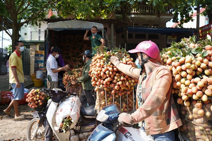 Vụ vải thiều Lục Ngạn năm 2022 được mùa, được giá.