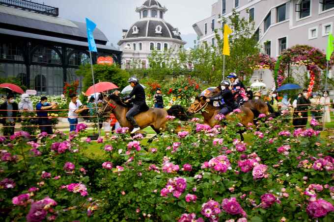 Cung đường của những “kỵ sĩ” vòng quanh thung lũng hoa hồng đang khoe sắc thắm.