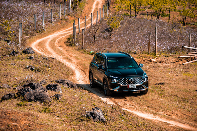 Hyundai Santa Fe bán được 434 xe trong tháng 6.