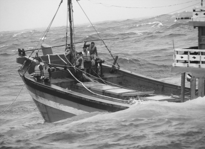 Ngư dân vươn khơi bám biển