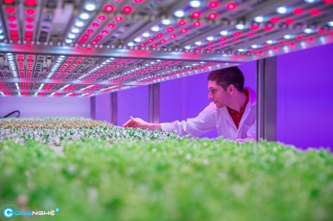 philips-phat-trien-cong-thuc-sang-cho-viec-trong-t