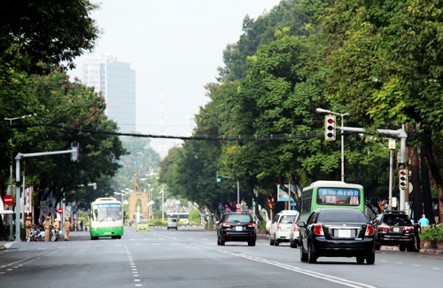 74-cay-o-trung-tam-sai-gon-co-the-bi-chat-de-xay-m