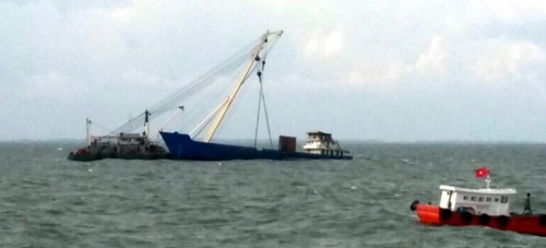 truc-vot-tau-chim-o-tp-hcm-2