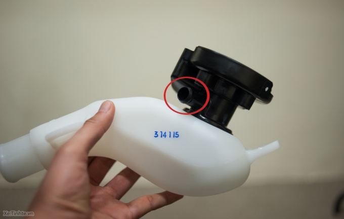 3649287_hong-rot-xang