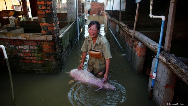 songuoichetvimualutrungquoctangvot