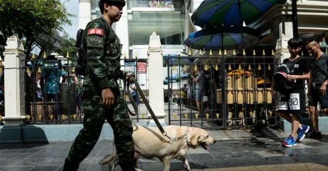 160814061429_tha_npyz (1)