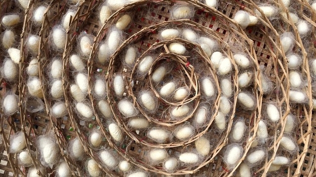 1475968186286494-1476159480701