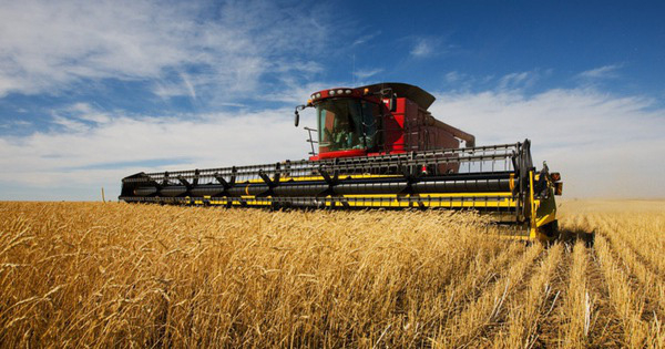 2-1508749505362-19-29-892-1425-crop-1508749864303-