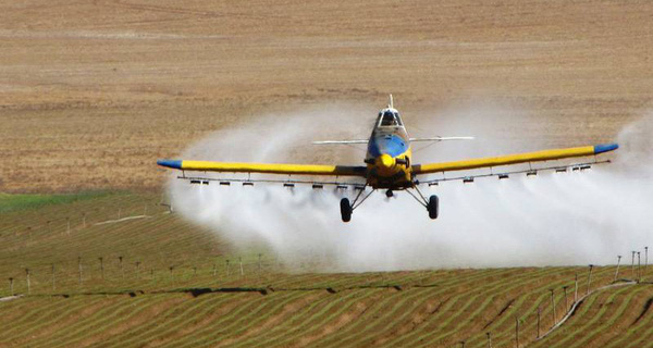 photo-0-1510656382196-crop-1510656418119